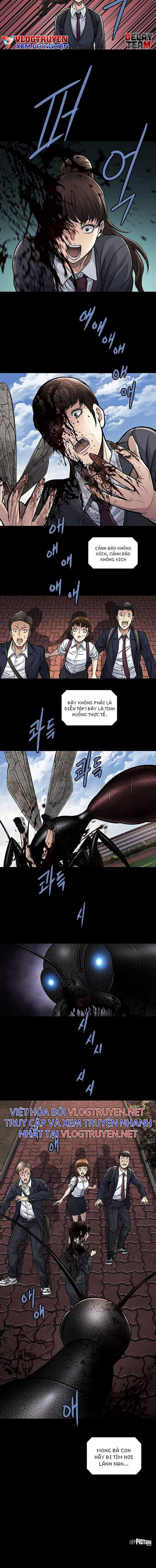 Đọc truyện Hive - Thảm họa ong độc - Chap 243